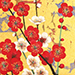 Noriko Okawara Gallery